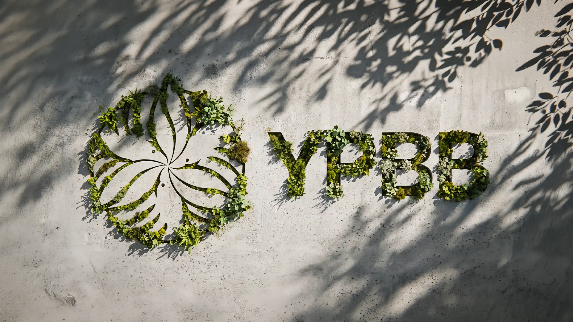 A 27 year old environmental NGO was starting to look its age, so YPBB got a visual identity built to outlast another 27 years